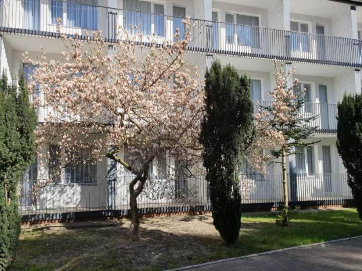 Osrodek Wczasowy Wrzos Lukecin Ngoại thất bức ảnh